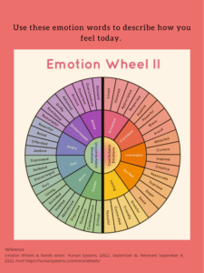 emotion wheel